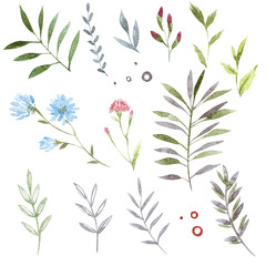Fototapeta na wymiar Hand drawn set of doodle flowers. Colorful summer floral elements.