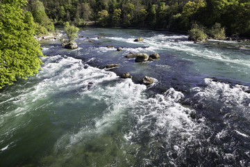 The Rhine Falls