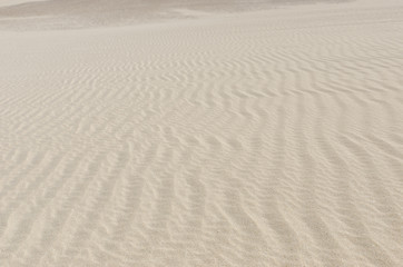 Sand dune in the Natural-park, Corralejo , Fuerteventura, Canary Islands, Spain