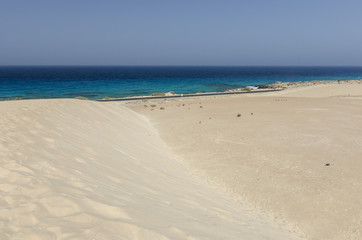 Sand dune and beach in the Natural-park, Corralejo , Fuerteventura, Canary Islands, Spain