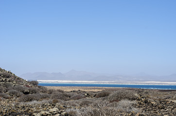 Flora of Lobos Island in Canary Islands, Spain