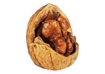 Single walnut isolated on a white background