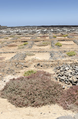 Traditional methods of sea salt production in Salinas del Carmen, Fuerteventura. Production from ocean water