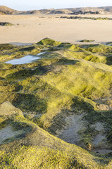 Rocky Coastline With Turquoise Lagoons - El Cotillo, Fuerteventura, Canary Islands, Spain.