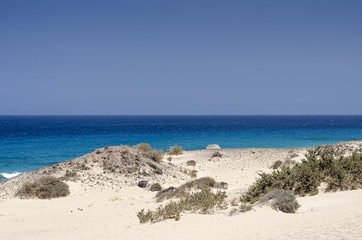 Fototapeta na wymiar Sand dune and beach in the Natural-park, Corralejo , Fuerteventura, Canary Islands, Spain