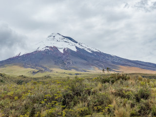 Cotopaxi Volcano and National Park Ecuador