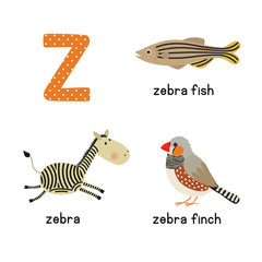 Cute zoo alphabet in vector.Z letter. Funny cartoon animals: zebra, zebrafish, zebrafinch