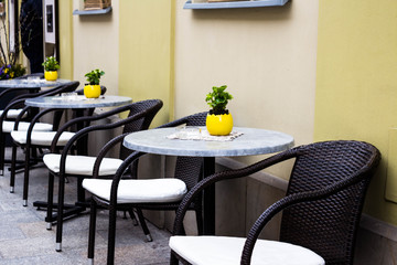 Yellow pot of flowers on the tables in the coffee house