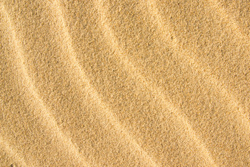 Fototapeta na wymiar Backgound yellow sand waves seaside