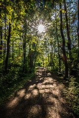 Fototapeta premium Sonnenlicht in Spektralfarben