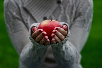 Woman hands holding a red apple