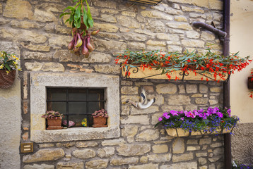 Window in an old house decorated with flower