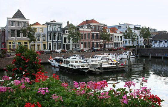 Flowers along the the ferry port in Gorinchem