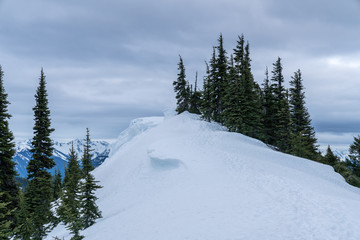 End Of The Trail?