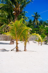 Obraz premium Landscape of paradise tropical island with palms and white sand beach