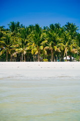 Obraz premium Landscape of paradise tropical island with palms and white sand beach