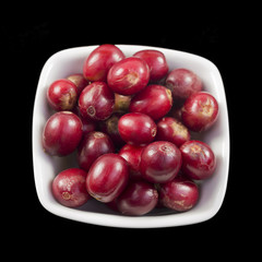 Coffee Beans Red and Ripe