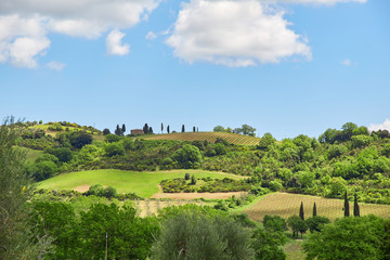 Tuscany landscape, Toscana, Italy