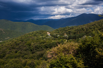 Green mountain covered with forest on the blue sky background. Panorama