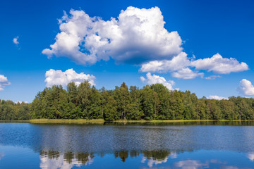 Obraz na płótnie Canvas Summer landscape with forest lake
