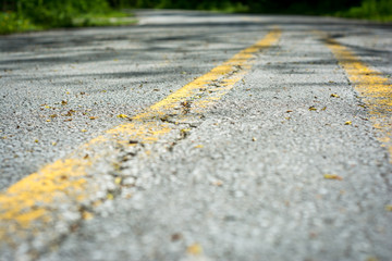 Old Paved Road In the Park