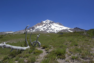 Mt. Hood Oregon, Paradise Park