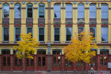 Portland Downtown Fall