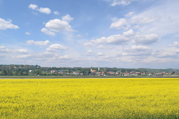 Large canola field and small town in distance