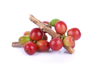 Close up of fresh raw coffee beans isolated on white background,