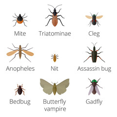 Colorful insects icons isolated wildlife wing detail summer worm caterpillar bugs wild vector illustration.