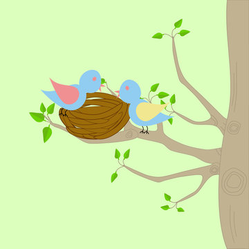 Two birds and a nest on a tree
