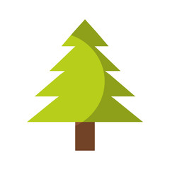 Green and brown tree icon over white background colorful vector illustration