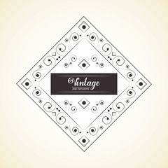 vintage and exclusive decoration classic element background vector illustration