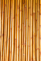 Fototapeta premium bamboo fence or wall texture background for interior or exterior design.