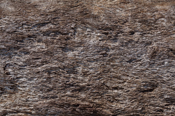 Wooden Texture Background