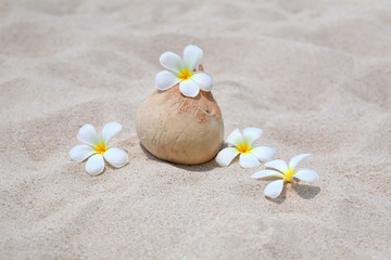 coconut with frangipani flowers on the beach