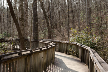 Boardwalk hiking trail, footpath thru beautiful serene outdoor woods.  Enjoy nature walking and exploring a park. 