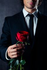 Cropped photo of business man holding a red rose in his hand. He is wearing formal wear