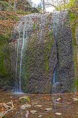 Quiet Falls in the Forest