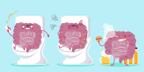 intestine with health concept