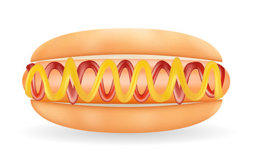 Real hot dog sausage with sauce in a bread on a white background