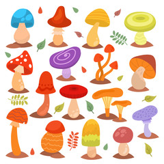 Different cartoon mushrooms isolated on white nature food design collection fungus plant vector illustration