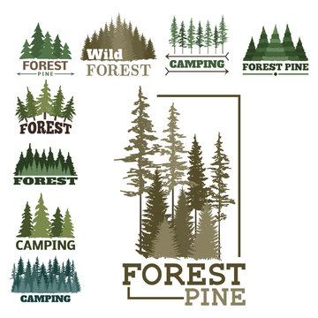 Tree outdoor travel green silhouette forest badge coniferous natural logo badge tops pine spruce vector.
