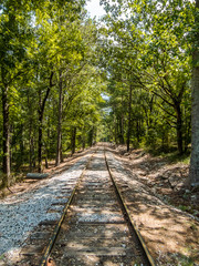 Fototapeta premium train tracks with trees