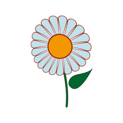 beautiful single daisy flower isolated on white background vector illustration