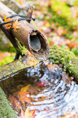 Bamboo water fountain in autumn season
