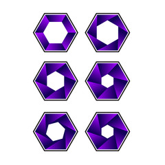 purple hexagon set