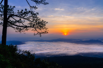 Fototapeta na wymiar Mountain Mist in sunrise.