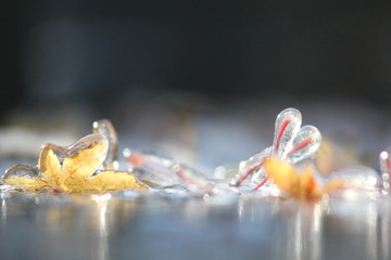 Frozen Nature