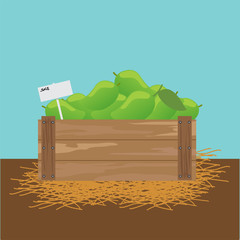 mango in a wooden crate